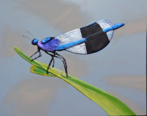 Dragon Fly A blue and black dragonfly resting on a green blade of grass against a soft background.