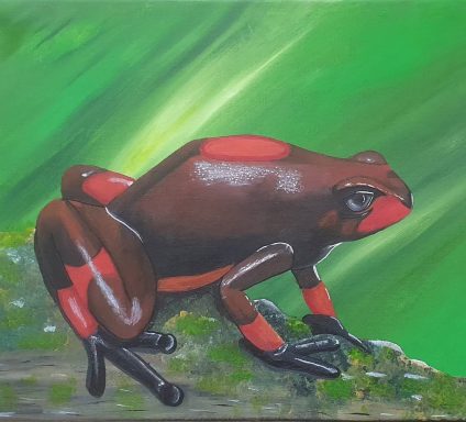 Poison dart frog Brown and red frog perched on a mossy surface with a greenish background.